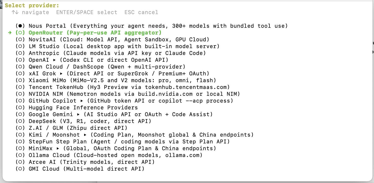 Hermes Agent terminal showing the interactive provider picker with OpenRouter selected